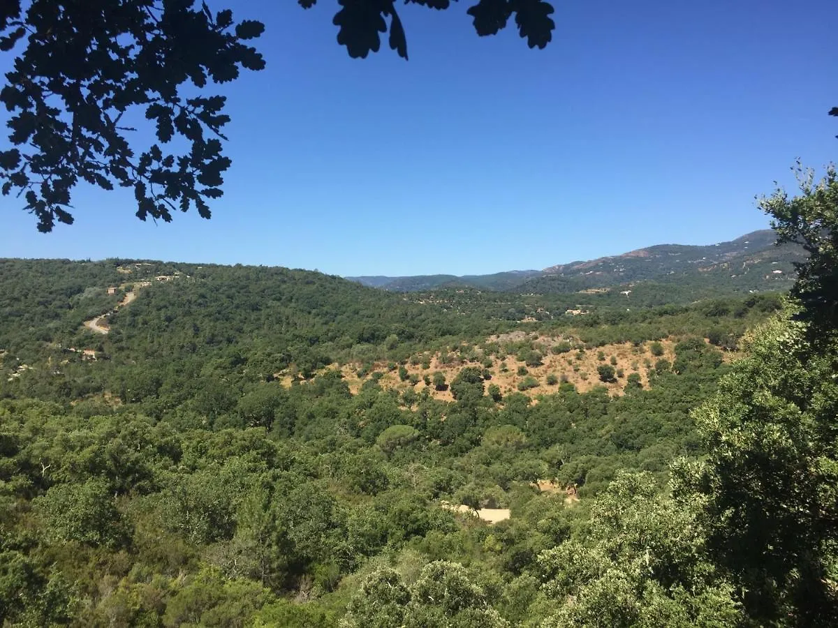 Bed and Breakfast Les Aurochs Grimaud Bed & Breakfast